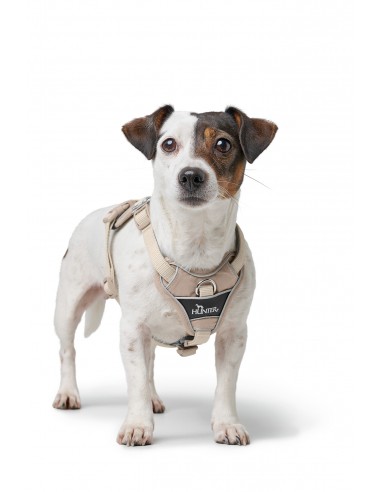 Dog harness HUNTER Divo Up, 34-37 XS
