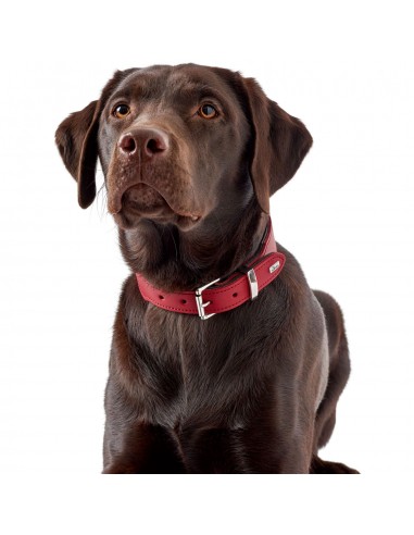 Dog collar HUNTER Basic, S-M (50), 36-43cm