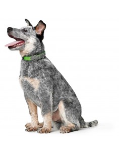 Dog collar HUNTER Convenience Comfort, S (40), 27-35cm,... 2