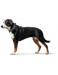 Kakla siksna suņiem HUNTER Divo, XL, 55-65cm, pelēka 2