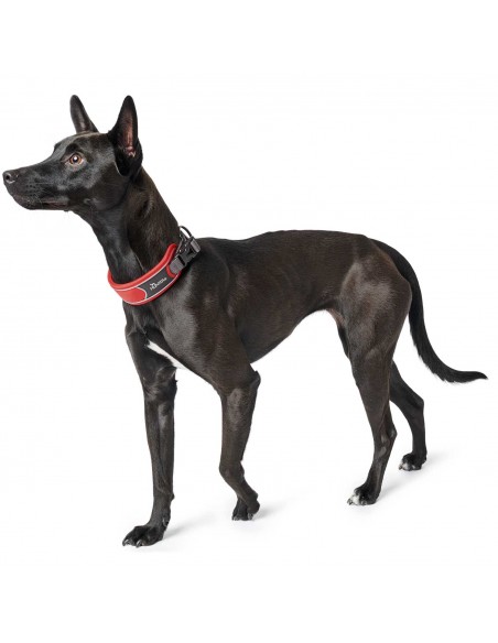 Dog collar HUNTER Divo, S, 25-35cm, red