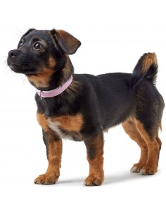 Dog collar HUNTER Modern Art, XXS-XS (27), 20-24cm, pink 2