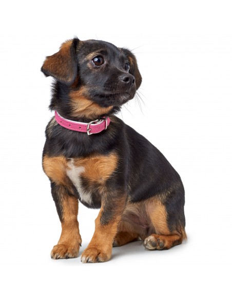 Dog collar HUNTER Modern Art, XXS-XS (27), 20-24cm, bright pink