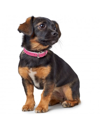 Dog collar HUNTER Modern Art, XS-S (37),...