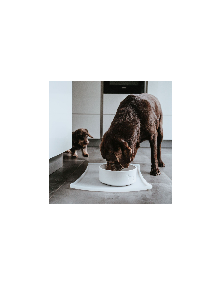 Ceramic dog bowl HUNTER Osby 550 ml, white