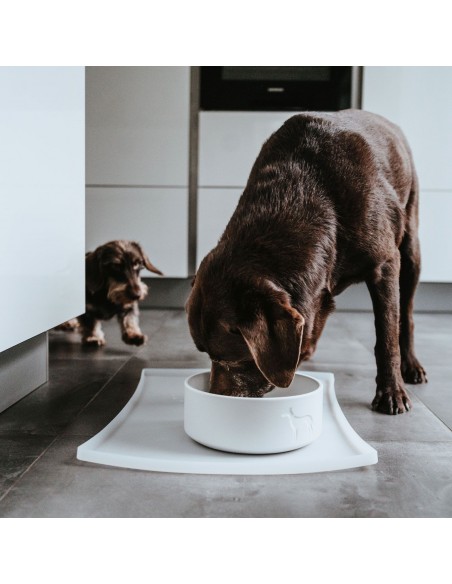 Ceramic dog bowl HUNTER Osby 1100 ml, white