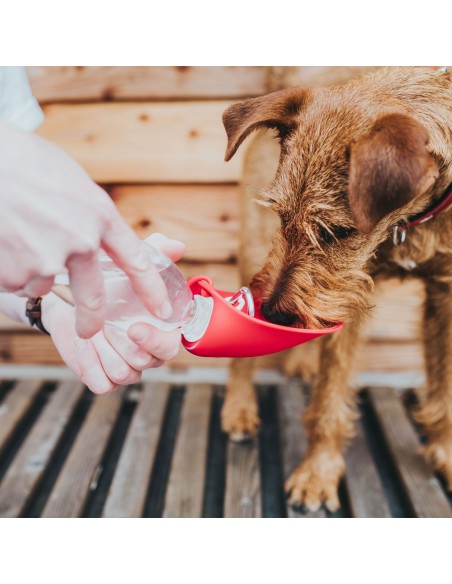 Water bottle for dogs HUNTER 550 ml, red