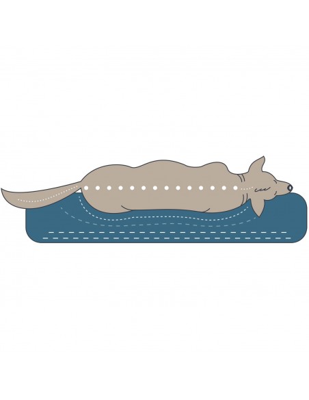 Orthopedic dog bed HUNTER Merida 75 x 50cm