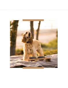 Feeding table ANYBELLY - Elegance, gray oak with orange... 2