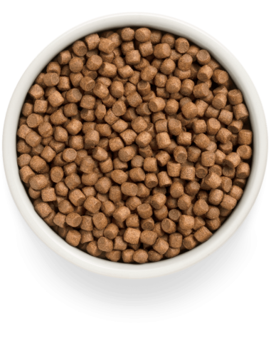 Dry food for puppies GRANDORF FRESH - fresh...
