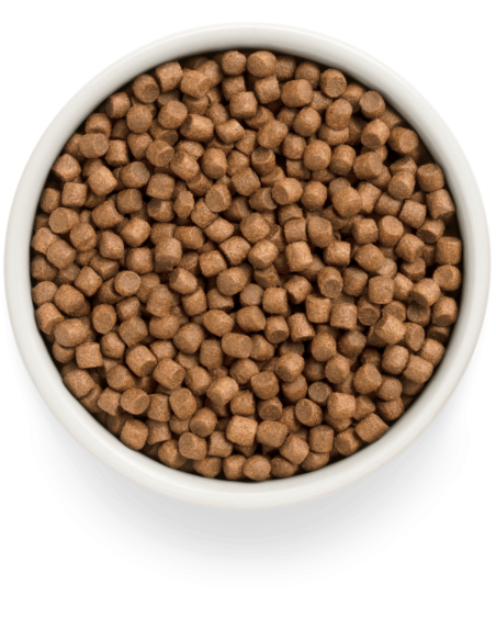 Dry food for puppies GRANDORF FRESH - fresh lamb with sweet potatoes, 1 kg.