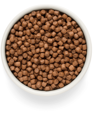 Dry food GRANDORF FRESH - for small breed adult...