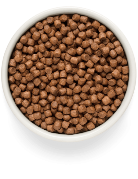 Dry food GRANDORF FRESH - for small breed adult dogs - fresh salmon with sweet potatoes, 1 kg.