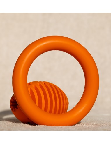 Dog toy PAW MAFIA, durable ring, 6.5cm