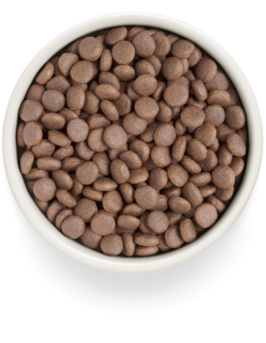 Dry food GRANDORF FRESH - for medium and large...