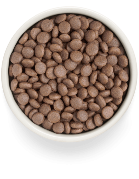 Dry food GRANDORF FRESH - for medium and large breed adult dogs - fresh turkey with sweet potatoes, 3 kg.