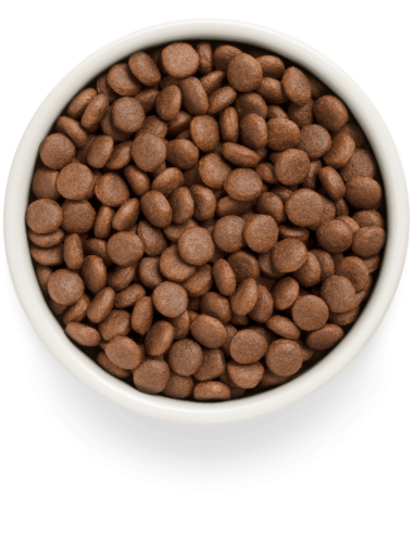 Dry food GRANDORF FRESH - for medium and large...