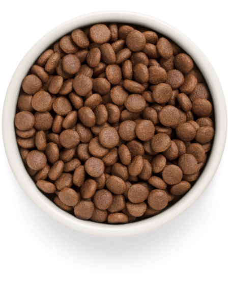 Dry food GRANDORF FRESH - for medium and large breed adult dogs - fresh salmon fillet with sweet potatoes, 3 kg.