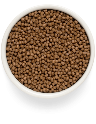 Dry food for kittens GRANDORF FRESH - fresh...