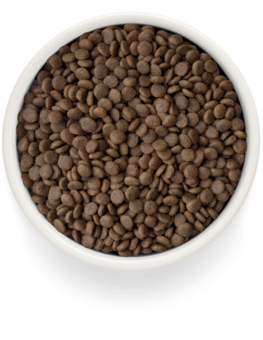 Dry food GRANDORF FRESH - for sterilized cats...