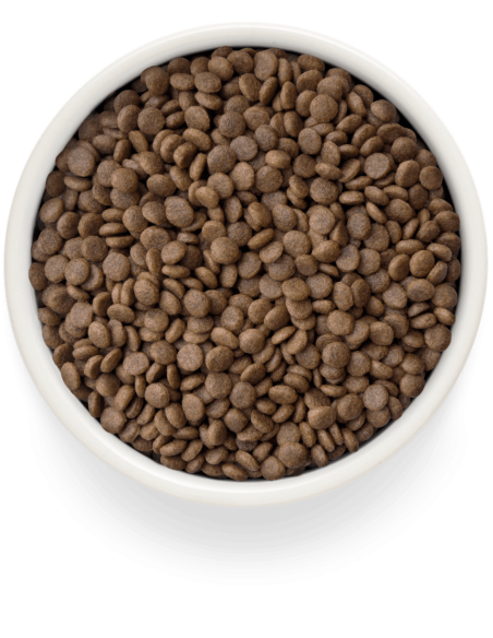 Dry food GRANDORF FRESH - for sterilized cats or seniors, fresh turkey with potatoes, 400g.