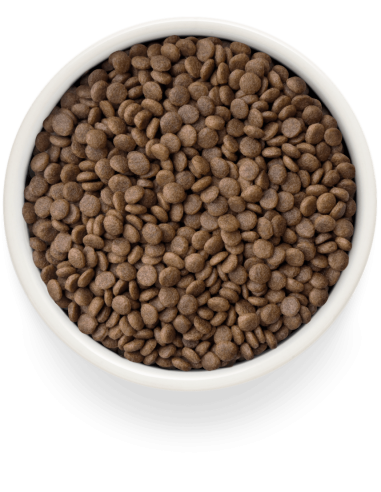Dry food GRANDORF FRESH - for sterilized cats...