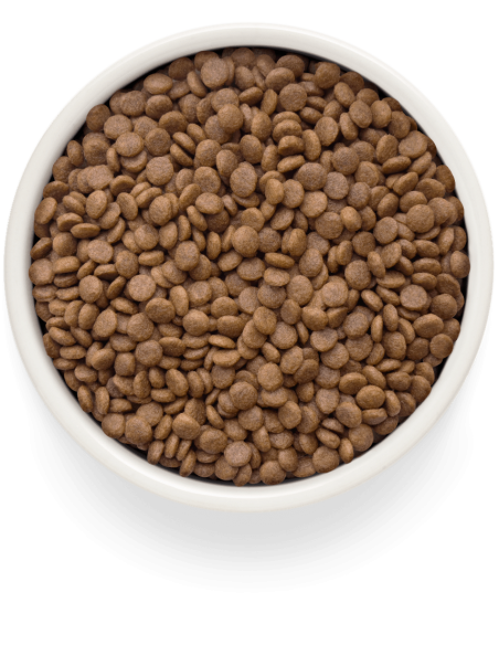 Dry food GRANDORF FRESH - for sterilized cats or seniors, fresh salmon with potatoes, 400 gr.
