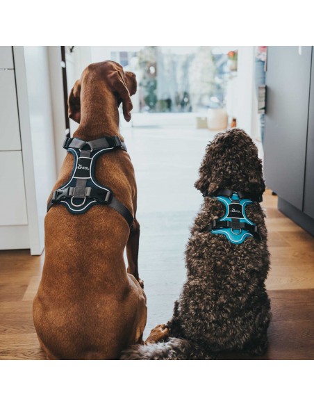 Dog harness HUNTER Divo, dark blue/gray L