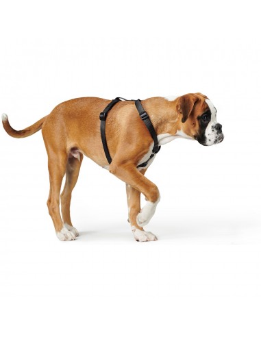 Harness, HUNTER, Ecco Sport Vario Rapid, 48-70/S-M