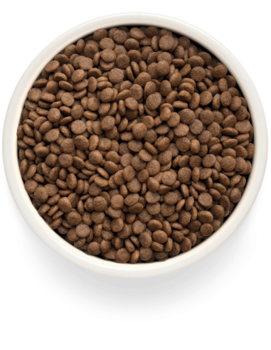 Dry food GRANDORF FRESH - for sterilized cats...