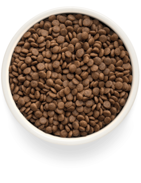 Dry food GRANDORF FRESH - for sterilized cats or seniors, fresh duck meat with potatoes, 400g.