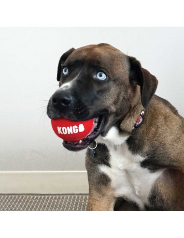 Dog toy KONG, Signature Sport balls L 8 cm (2...