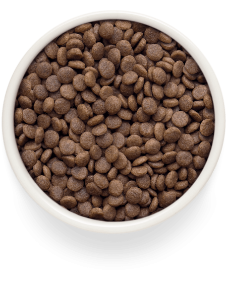Dry food GRANDORF FRESH - for adult large breed cats, fresh lamb with potatoes, 2 kg.