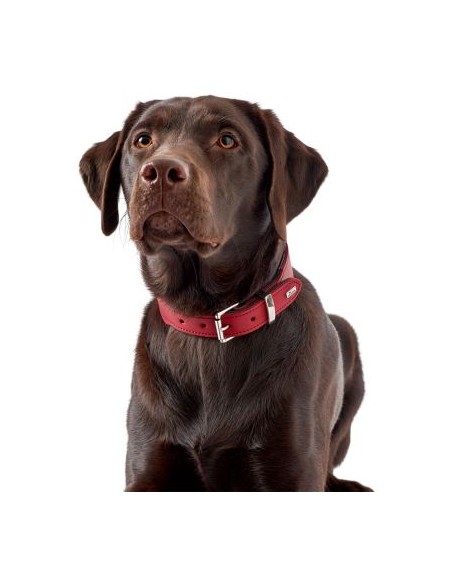 Dog collar HUNTER Basic 60/M-L, red/black