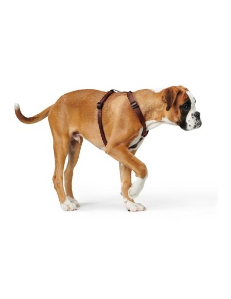 Dog harness HUNTER Ecco Sport Vario Rapid XXS, brown