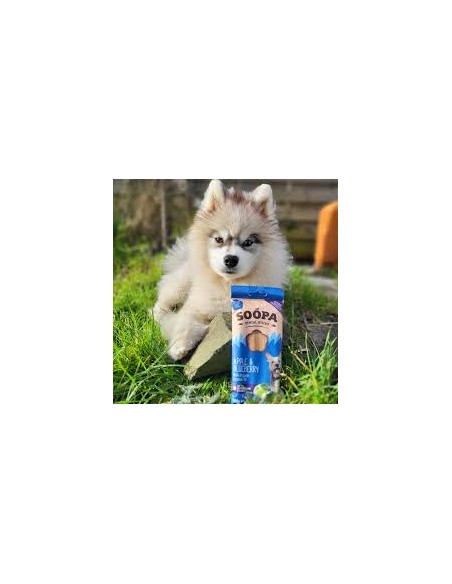 Dental Sticks, SOOPA, Apple & Blueberry, 100g.