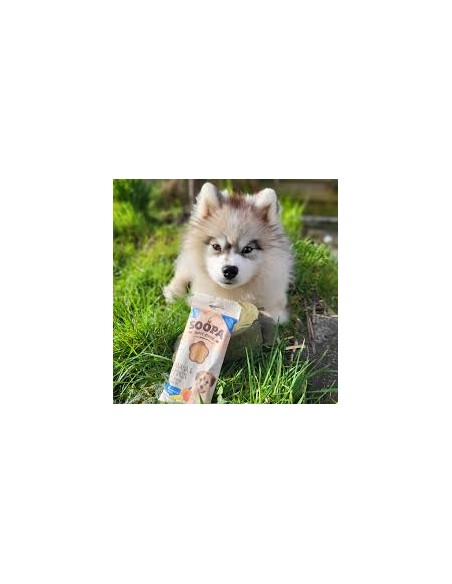 Dental Sticks, SOOPA, For Puppies, Banana & Pumpkin, 100g