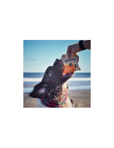 Dog Treats, SOOPA, Healthy Bites, Carrot &...