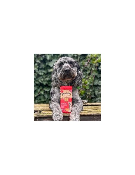 Dental Sticks, SOOPA, Sweet Potato & Cranberry, 100g.