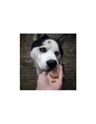 Dog Treats, SOOPA, Healthy Bites, For Seniors,...