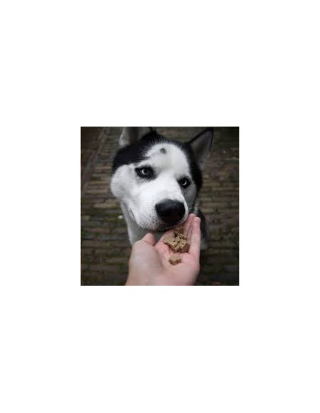Dog Treats, SOOPA, Healthy Bites, For Seniors, Pumpkin, Banana & Flaxseed, 50g.