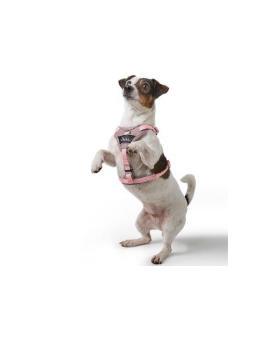 Dog Harness, HUNTER Divo Up, M, antique pink