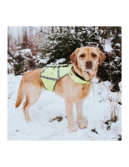 High-visibility vest for dogs, HUNTER, L, yellow.