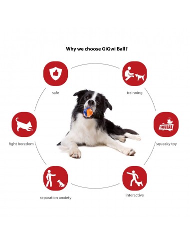 Dog toy, GiGwi, Ball, S