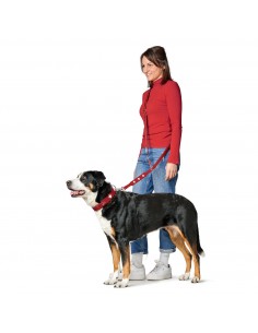 Dog collar, HUNTER, Swiss Collar, L (65), 51-58cm, red 2