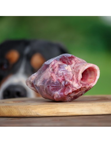 BIAMEAT - fresh food ingredient, BEEF THROAT...