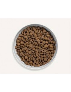 Dry food for cats, CANAGAN, Country Game, Duck, herring,... 2