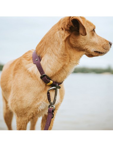 Dog Leash, HUNTER, Havanna, 20/200, blackberry