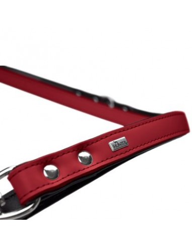 Dog Leash, HUNTER, Basic, 13/200, red/black