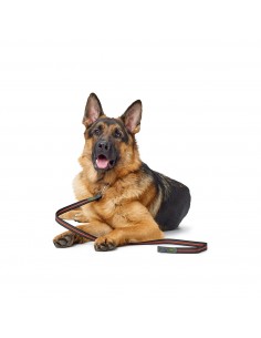 Dog Leash, HUNTER, Visby super grip, 20/120, orange 2